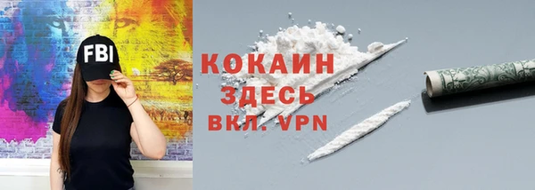 дживик Арсеньев